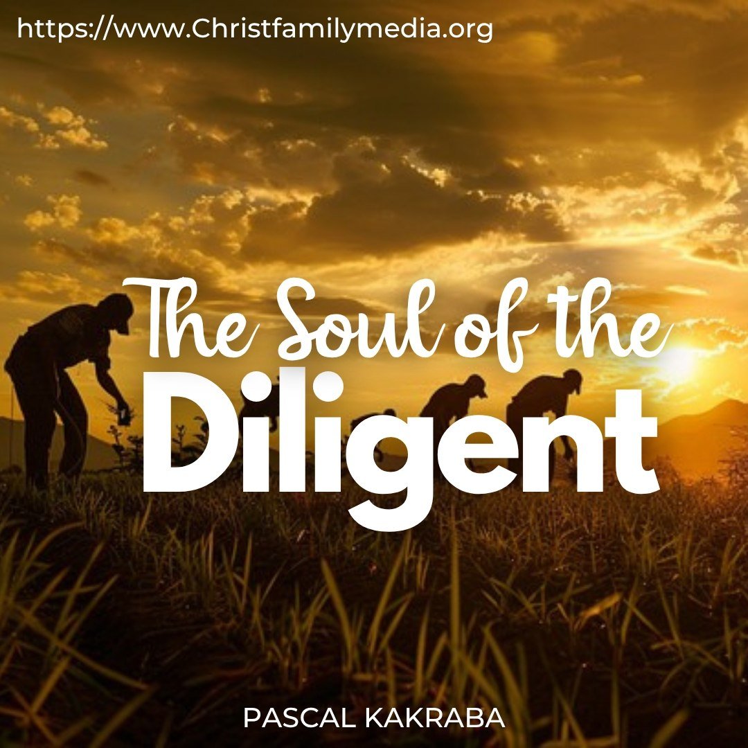 The Soul Of The Diligent